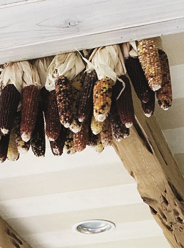 乾燥花是成就日式雜貨風不可缺少的元素,沒有規則,隨